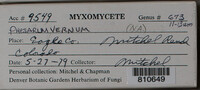 Image Associated With the Occurence